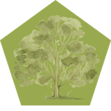 Green pentagon with tree