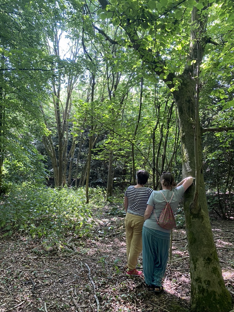 ecotherapy for couples