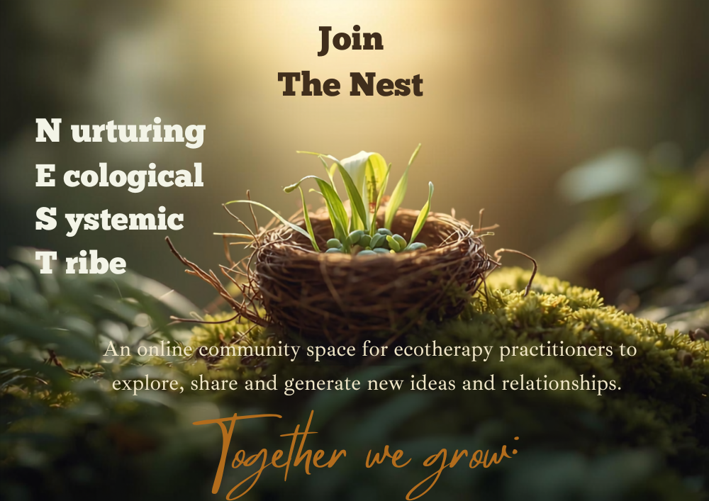 the nest invite to join